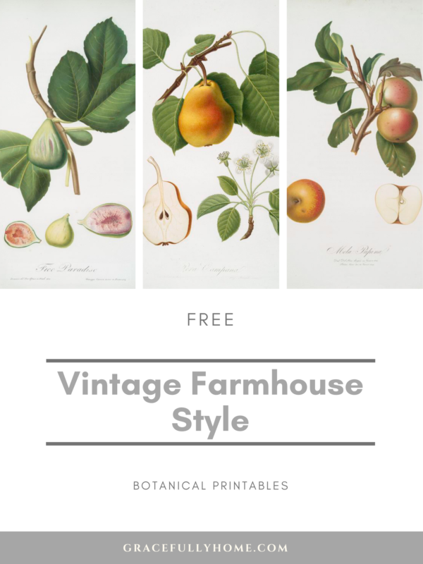 Vintage Farmhouse-Style Botanical Printables - Gracefully Home