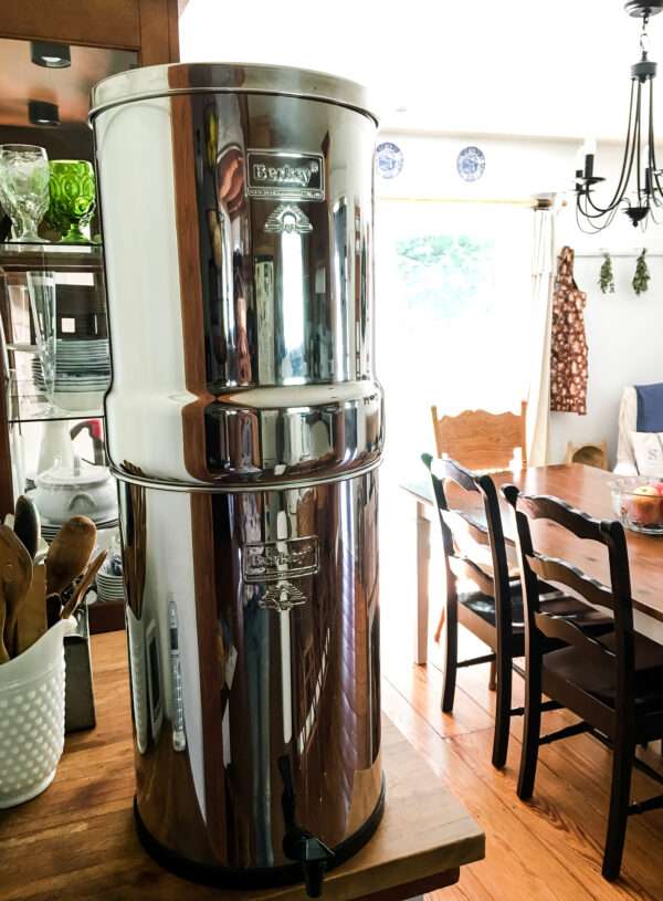 Why We Chose the Berkey Water Filtration System